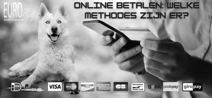 Betalen bij Eurobullysupply