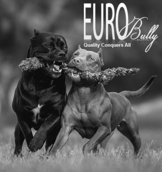 Eurobullysupply honden halsbanden tuigen lijnen en supplementen