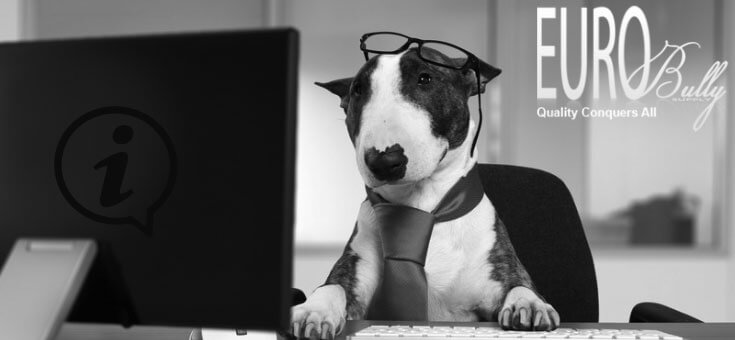 Helpdesk Eurobullysupply